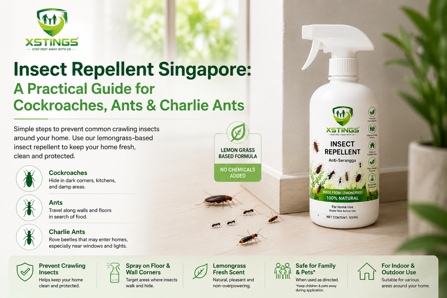 Lemongrass-based insect repellent for cockroaches, ants and crawling insects around a floor and wall corner in a Singapore home