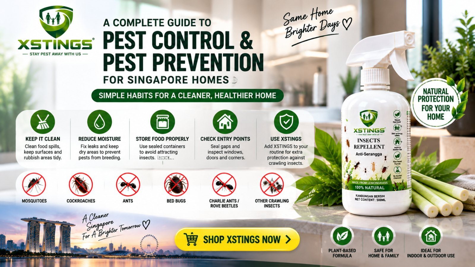 Pest control and pest prevention guide for Singapore homes with XSTINGS insect repellent